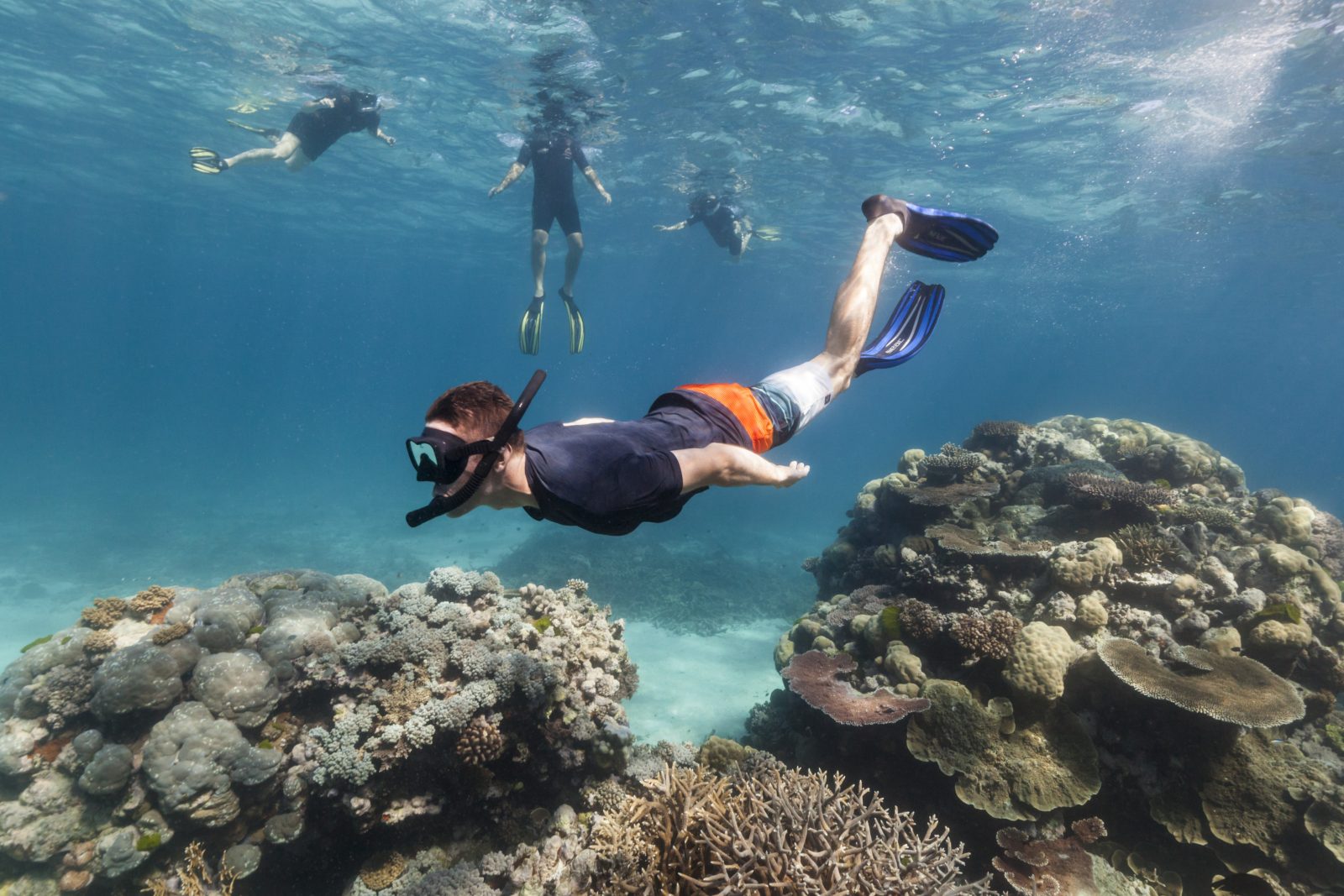 Sortie dauphins & snorkeling — Baie du Cap